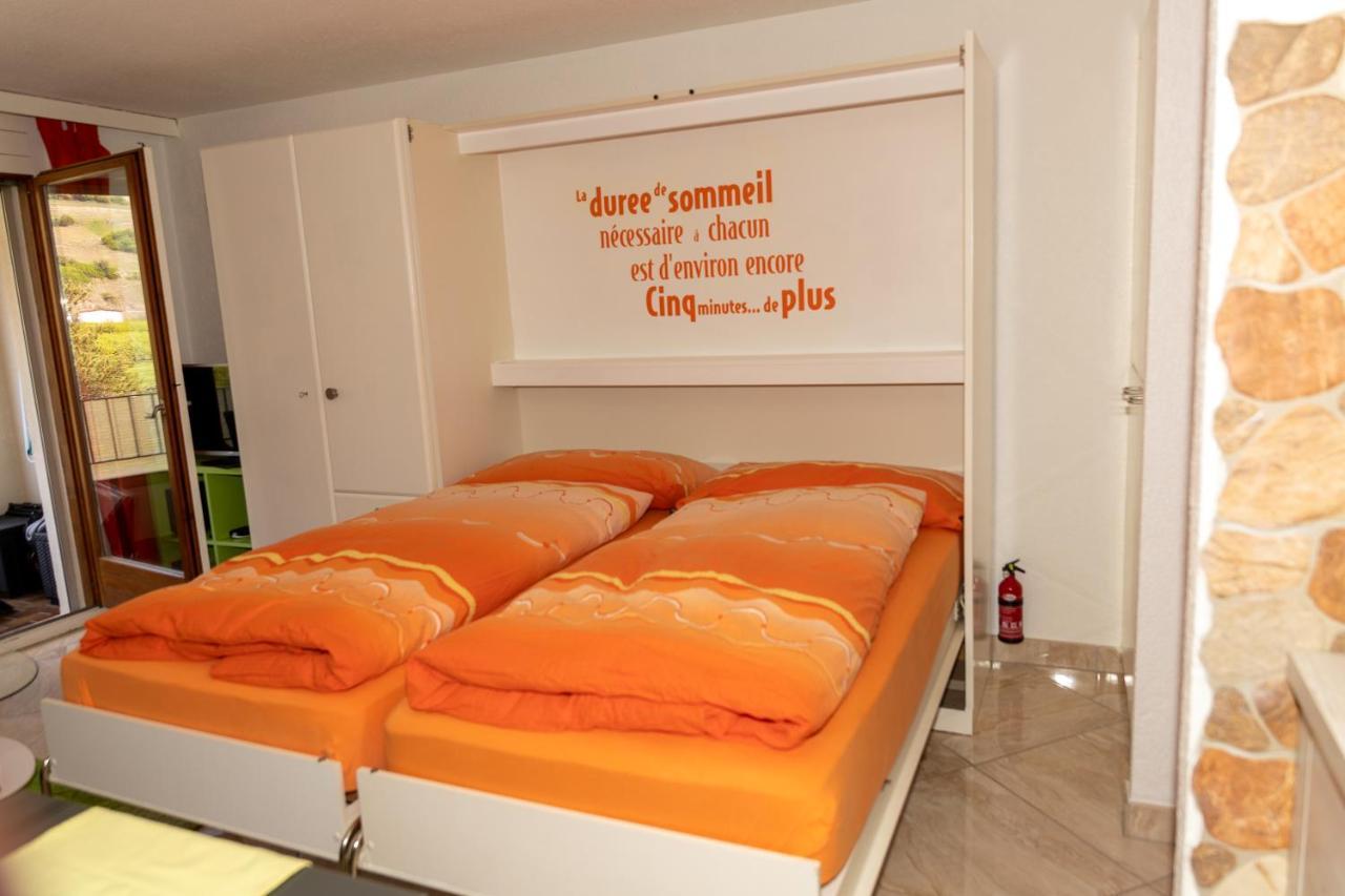 Un moment de détente inoubliable Saillon-les-Bain Exterior foto